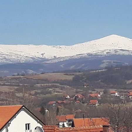 Apartman "Vienna" Soko Banja Exteriér fotografie