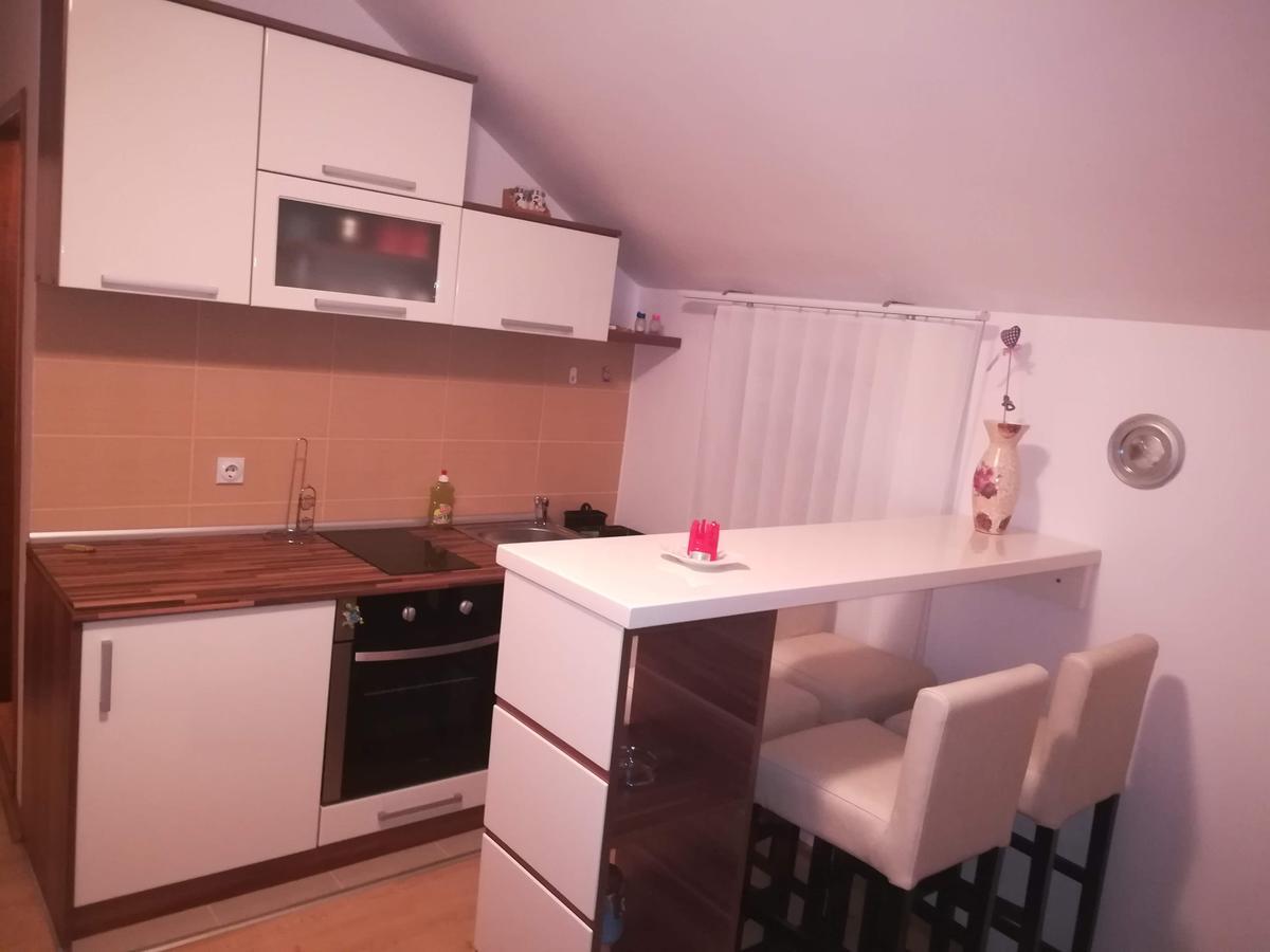 Apartman "Vienna" Soko Banja Exteriér fotografie