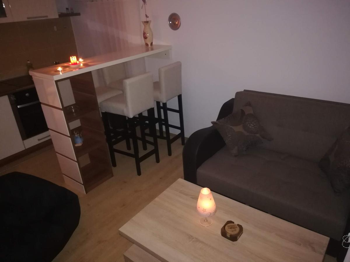 Apartman "Vienna" Soko Banja Exteriér fotografie